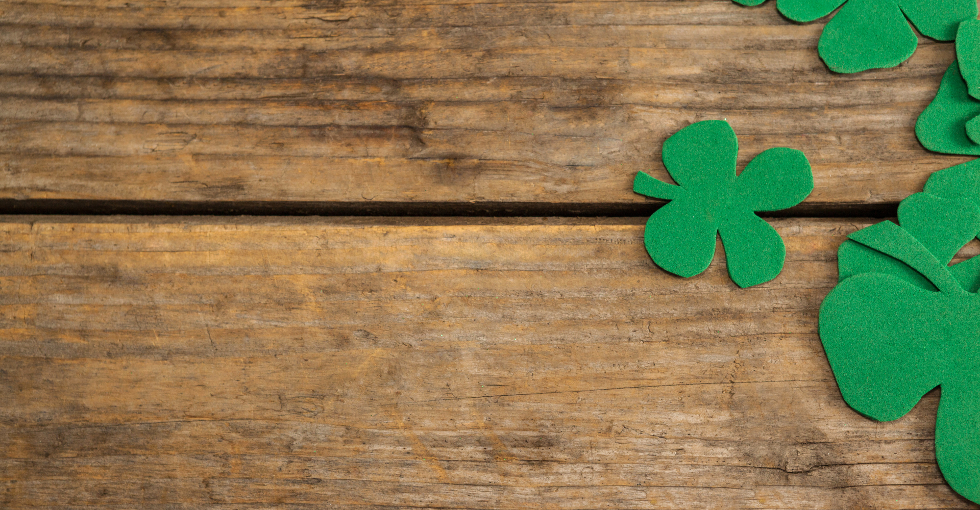 Dogs running down stairs 