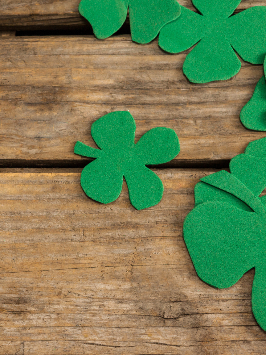 Dogs running down stairs 