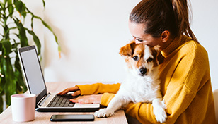 dog with woman at desk